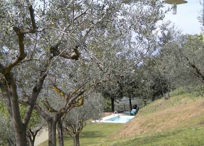 Il Poggio Delle Ginestre