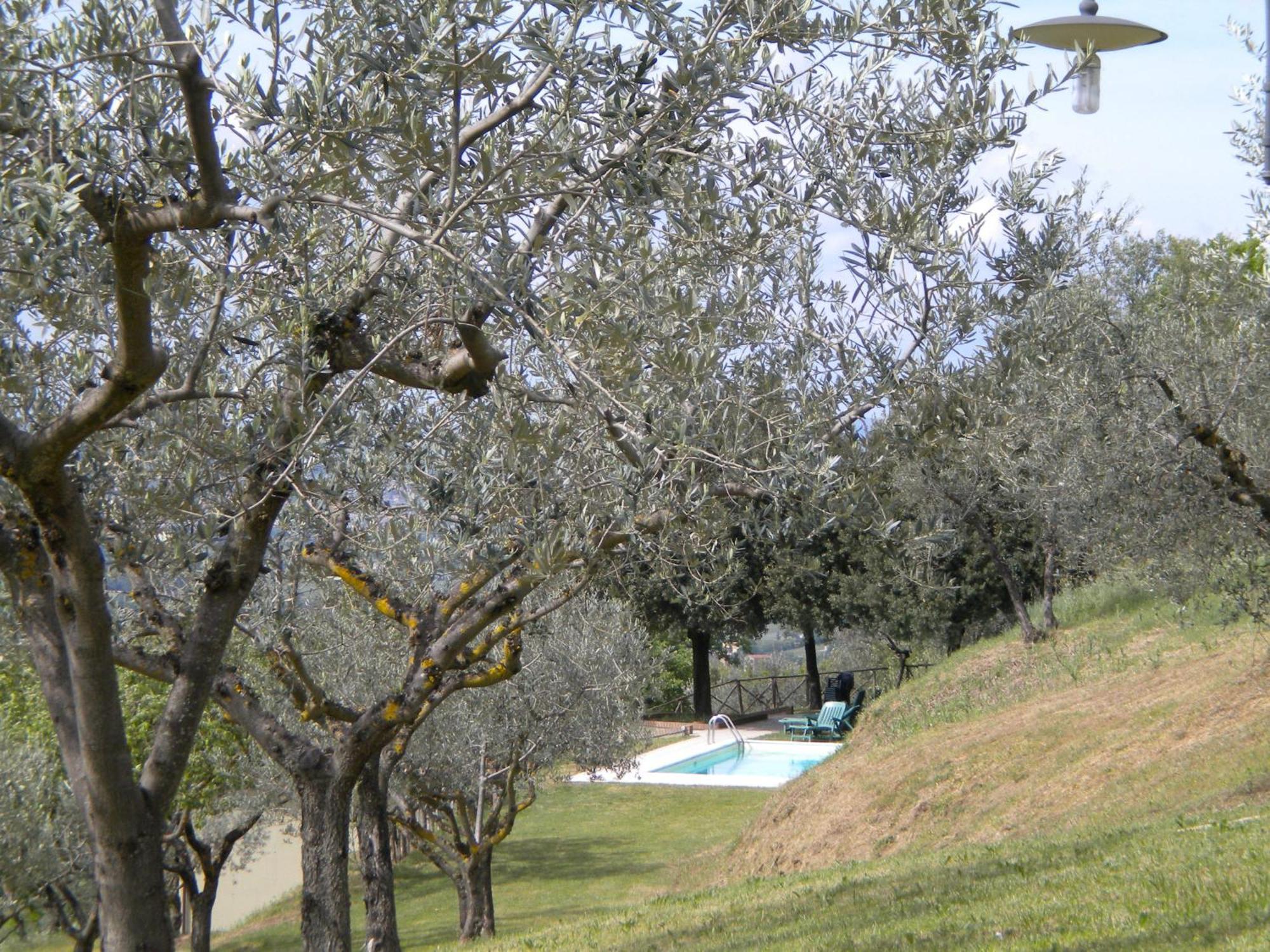 Landhuis Il Poggio Delle Ginestre Torgiano